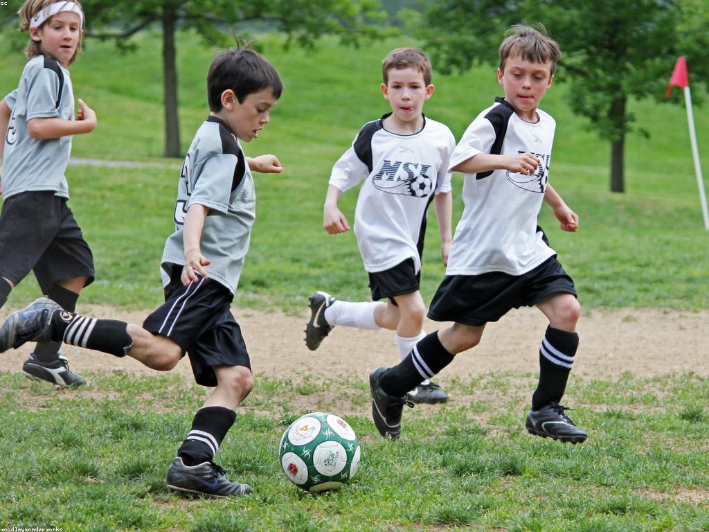 យុទ្ធសាស្ត្រសម្រាប់ការលេងជោគជ័យ