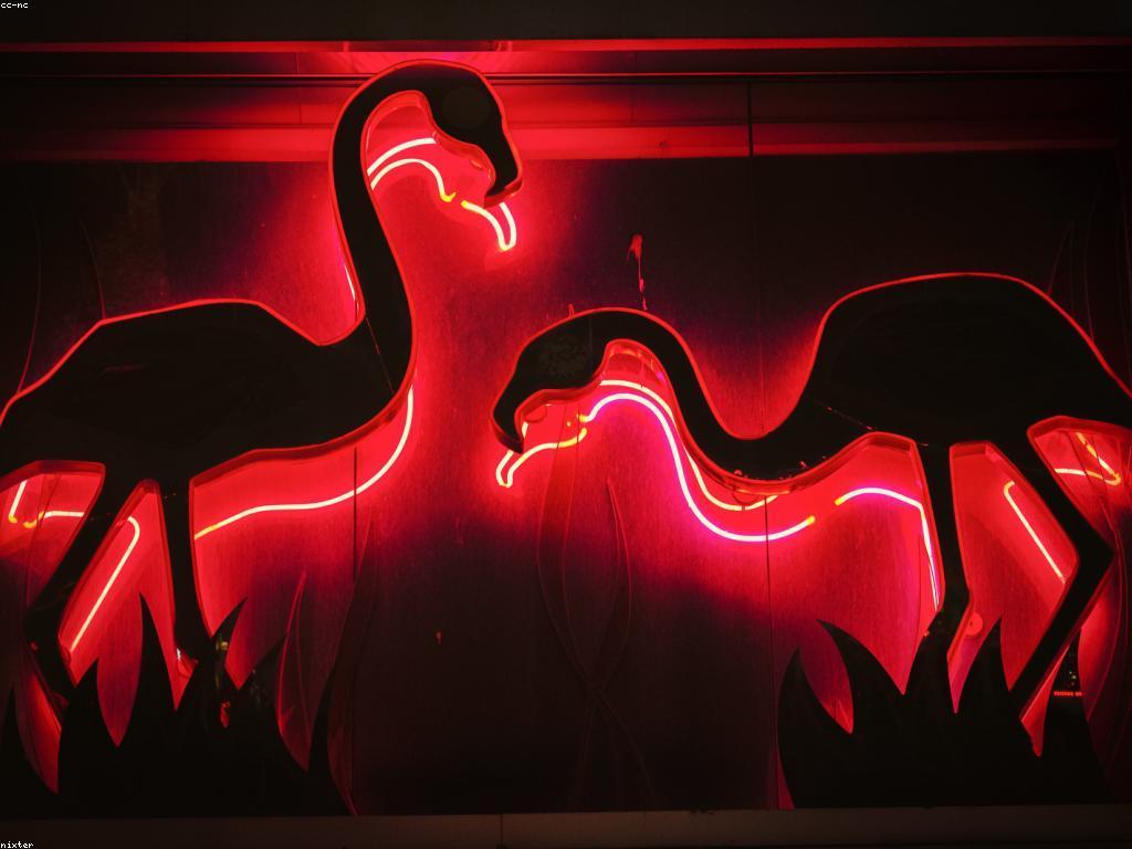 បច្ចេកវិទ្យានៅក្នុងកាស៊ីណូផ្ទាល់